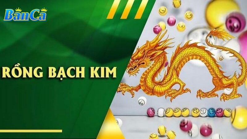 Một số thông tin về rồng bạch kim