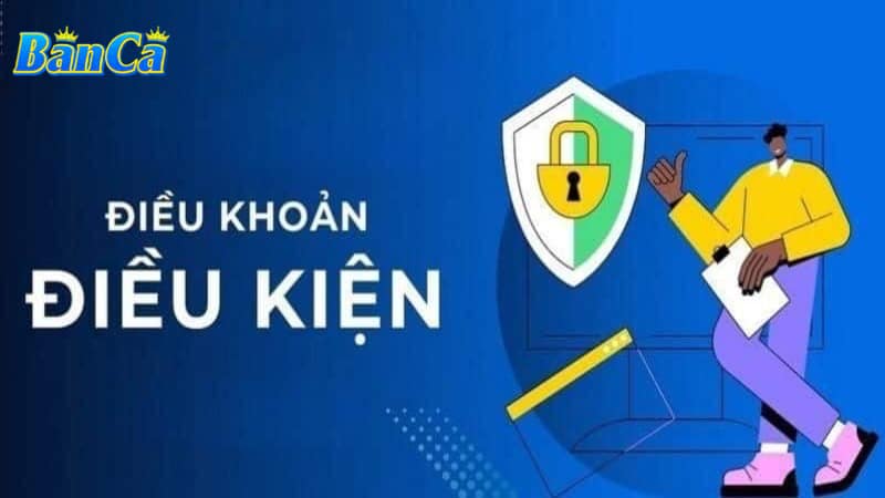 Tìm hiểu về điều khoản điều kiện 