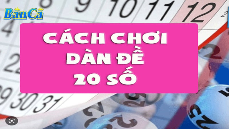 Nuôi dàn đề 20 số cần những gì